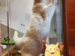 -默迹咖啡馆