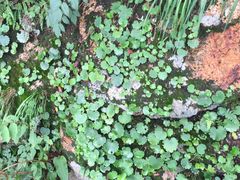 -丹东天桥沟景区