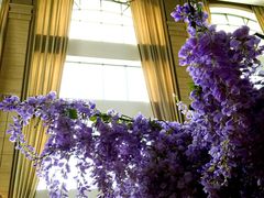 iphone_upload_pic-上海东方佘山翰悦阁酒店·Vie全日制餐厅