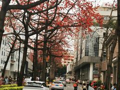 -烈士陵园(地铁站)