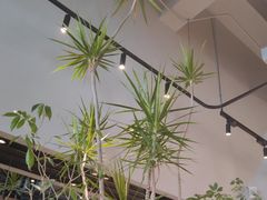 -gaga(深圳福田星河COCO Park店)