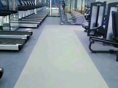-金吉鸟健身游泳