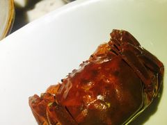 -南山渔宴