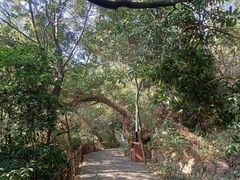 -水濂山森林公园