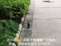 -徐家汇源景区-衡山公园