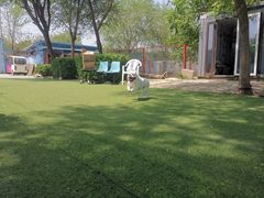 -宠物寄养训练学校