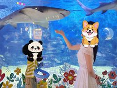 -烟台海昌鲸鲨海洋公园