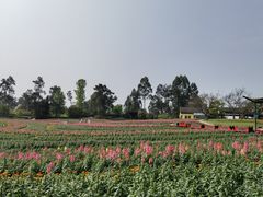 -保利石象湖景区