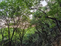 -岳麓山风景名胜区