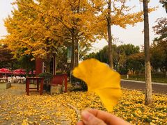 -济南国际园博园