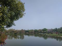 -海珠湖公园