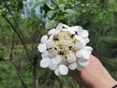 -中国丝绸博物馆