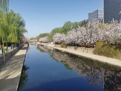 -元大都城垣遗址公园