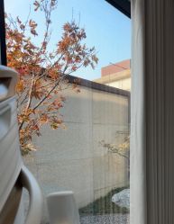 -重庆安琪儿妇产医院-妇幼保健联盟医院