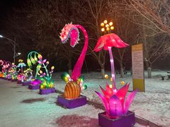 -沈阳奥体冰雪嘉年华