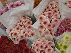 -循礼门鲜花花市(武汉循礼门店)