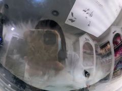 -特一安24小时宠物医院·骨科·中兽医