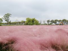 -嘉北郊野公园
