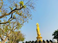 -广州莲花山旅游区