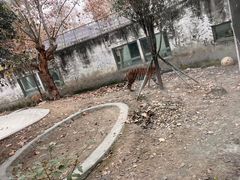 -成都动物园