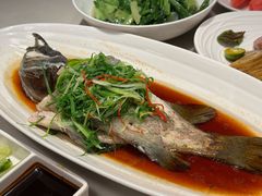 龙趸石斑鱼-湖锦酒楼·旗舰店(三阳总店)