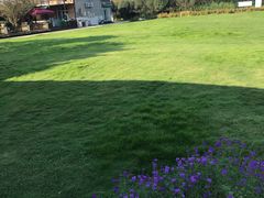 -洪湖家庭农场·团建·露营·会议