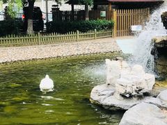 -北京市海淀外国语实验学校