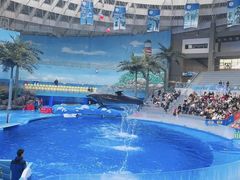 -海合安成都极地海洋公园