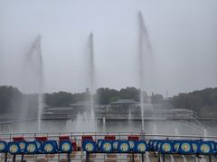 -曹州牡丹园