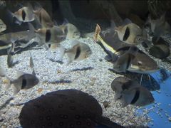 -多彩贵州城极地海洋世界