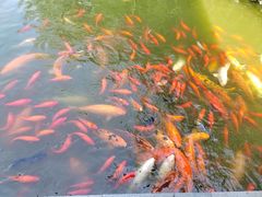 -陈云纪念馆