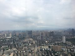-339旋转餐厅(天府熊猫塔店)