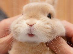 -陈八两面家(华孚写字楼店)