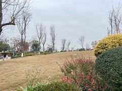 -成飞公园