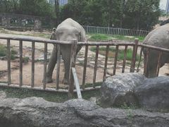 -南昌动物园