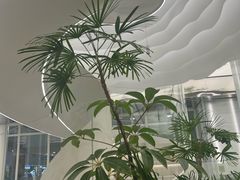 -大树餐厅(万达创始店)