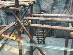 -武汉动物园