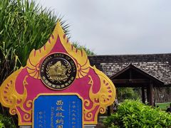 -中国科学院西双版纳热带植物园