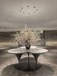 -广州美莱医疗美容医院