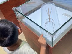 -上海昆虫博物馆