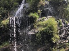 -少华山国家森林公园
