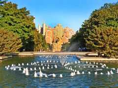 -上海市龙华烈士陵园