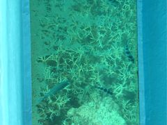 -蓝湾海滩