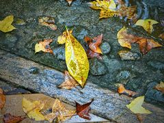 -宁波五龙潭景区