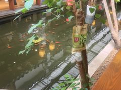 -小江南(老洋桥店)