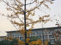 -陕西师范大学(雁塔校区)