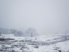 -阳台山自然风景区
