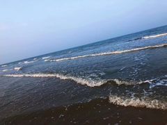 -日照海滨国家森林公园