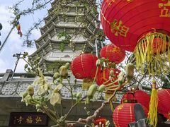 -深圳国际园林花卉博览园