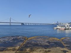 -星海广场